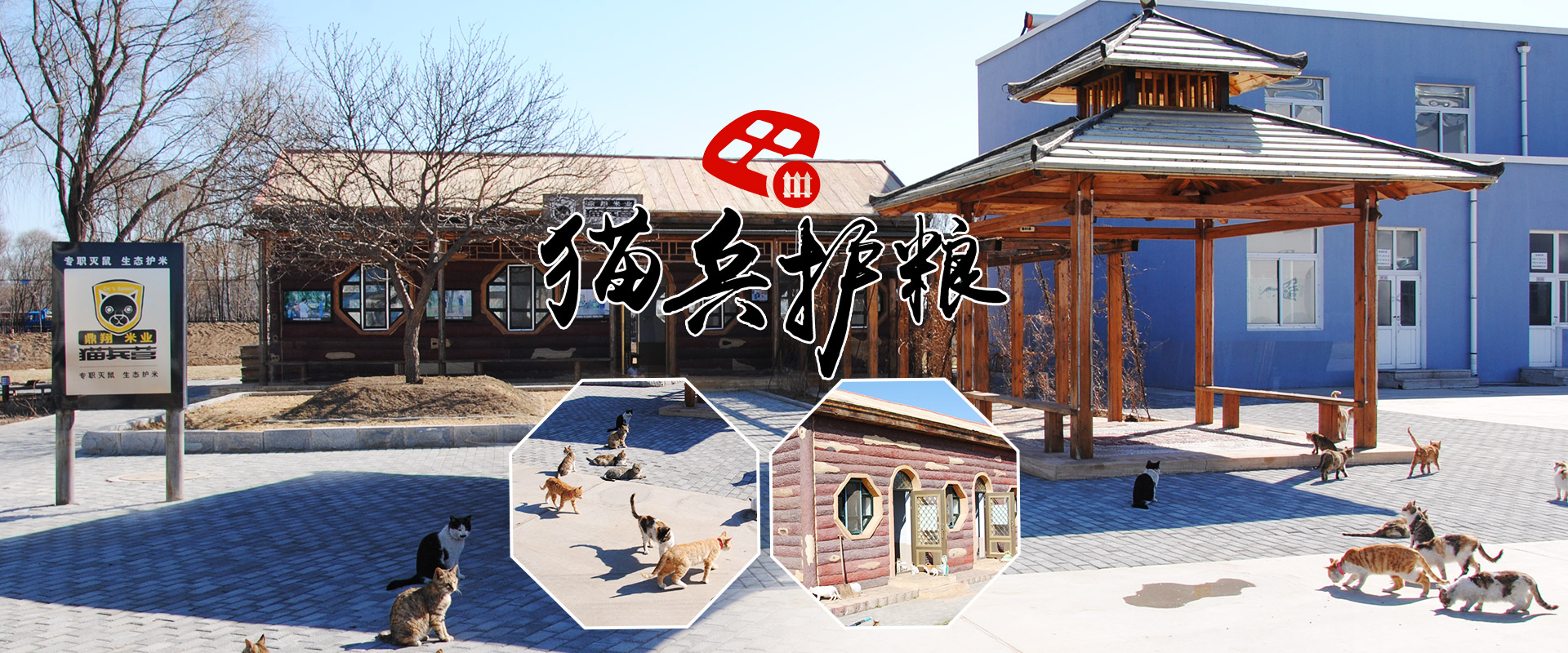 廢氣治理案例_中國航天科技集團